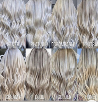 Highlights