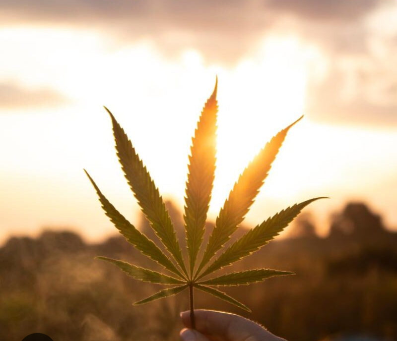 Green Retreats