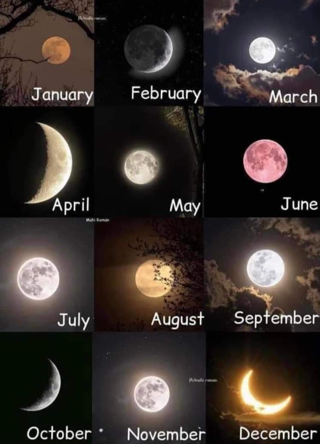 Full moon Sauna dip